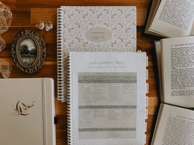 My Summer Planning Workflow for The CMEC